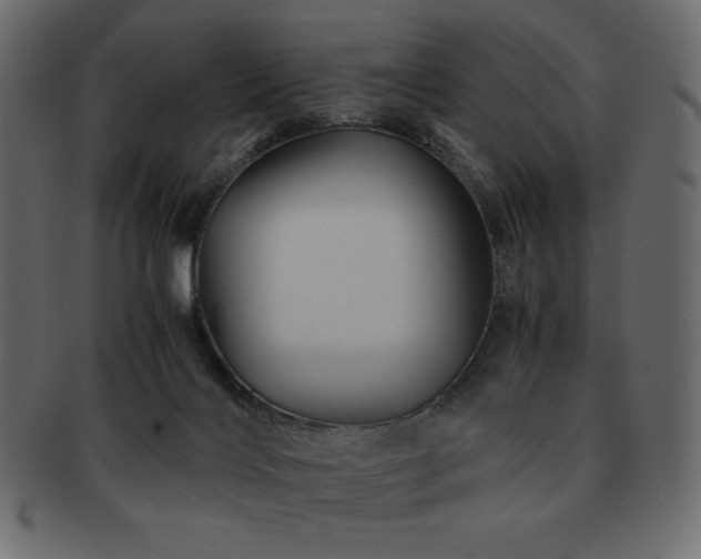 X0000093160028200709261518