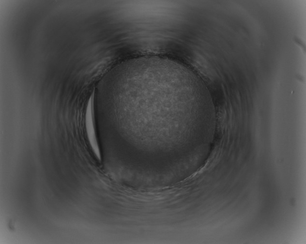 X0000093160029200709261518