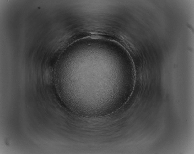 X0000093160030200709261518