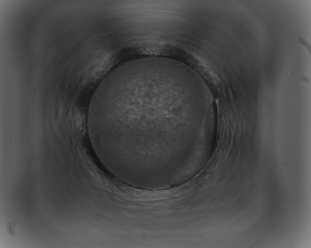 X0000093160031200709261518