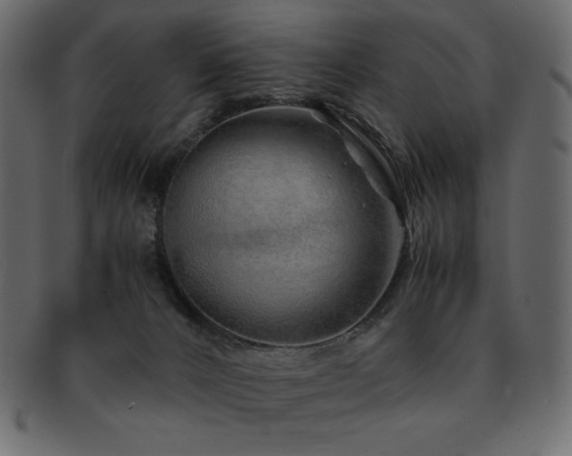 X0000093160032200709261517
