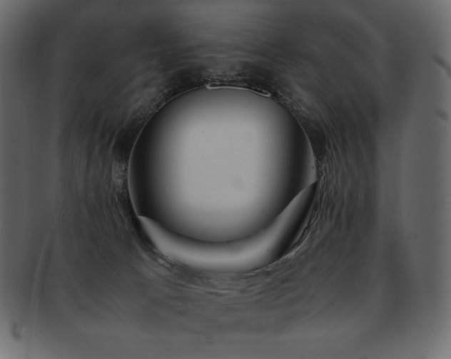X0000093160033200709261517