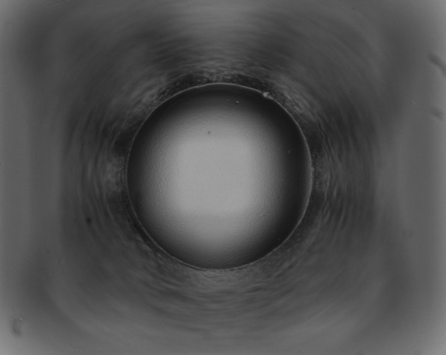 X0000093160034200709261517