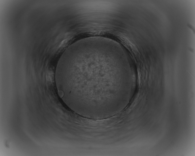 X0000093160035200709261517