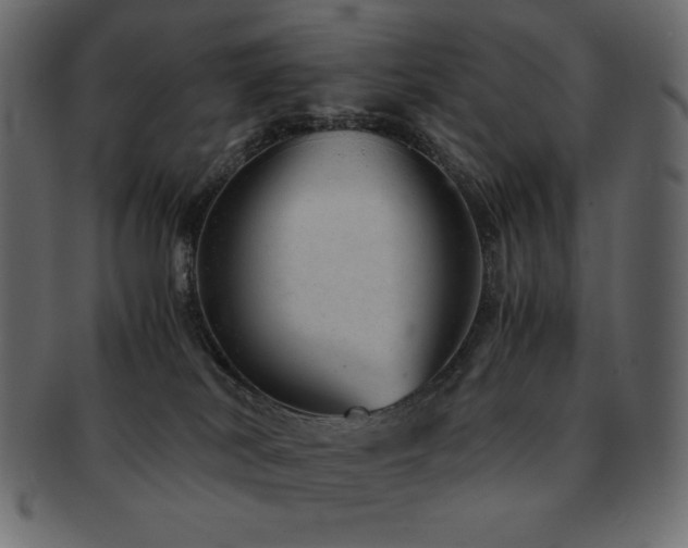 X0000093160038200709261517