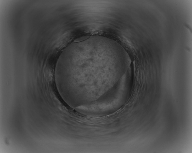 X0000093160039200709261517