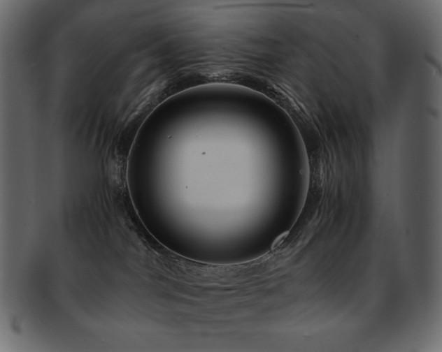 X0000093160044200709261517