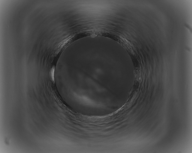 X0000093160047200709261517