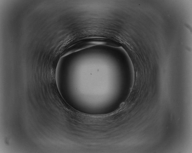 X0000093160048200709261517