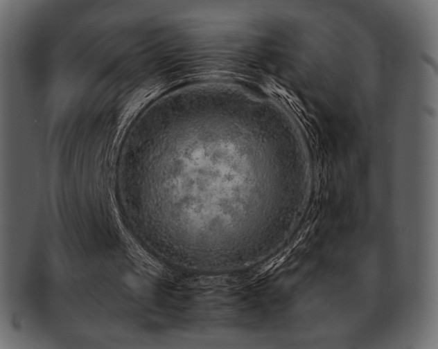 X0000093160049200709261517