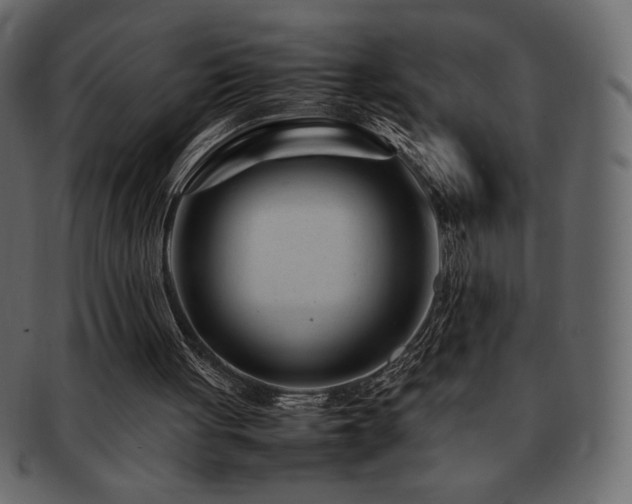 X0000093160051200709261517