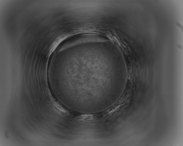 X0000093160052200709261517