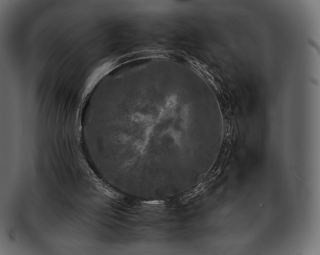 X0000093160053200709261517