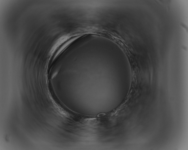 X0000093160054200709261517
