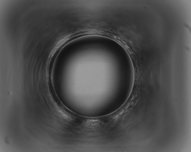 X0000093160055200709261517