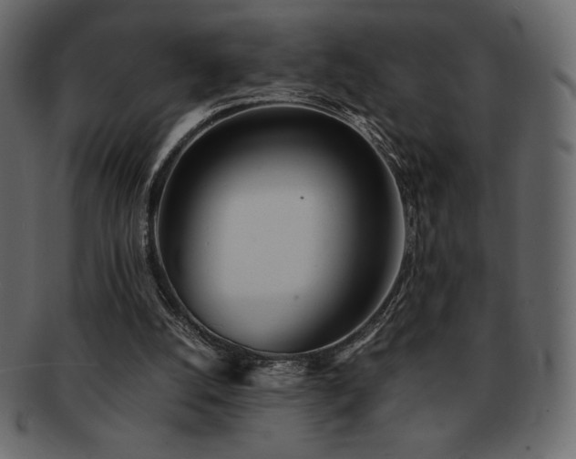 X0000093160056200709261517