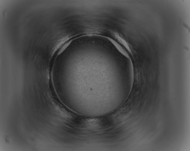 X0000093160059200709261517