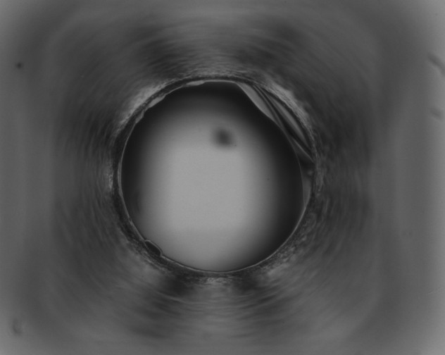 X0000093160060200709261517
