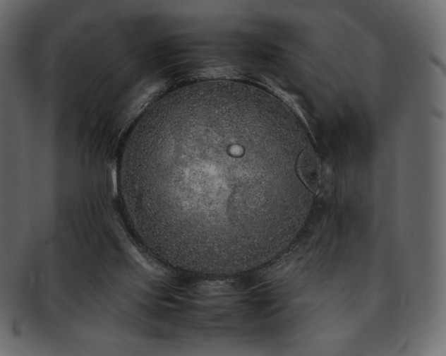 X0000093160061200709261517