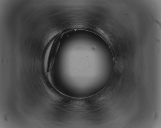 X0000093160063200709261517