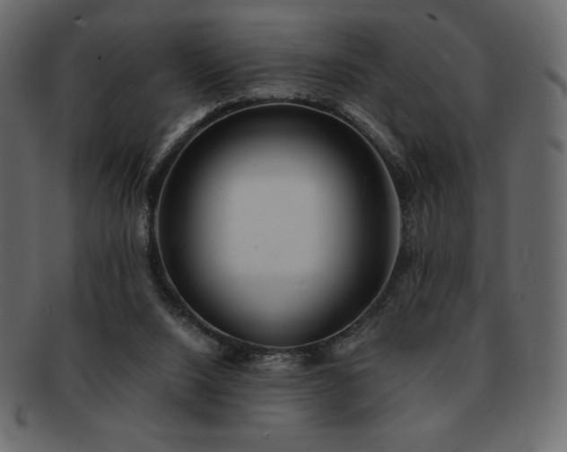 X0000093160064200709261517