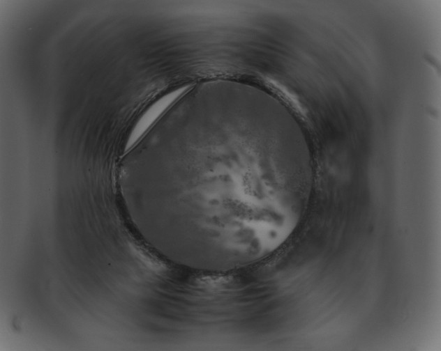 X0000093160065200709261517