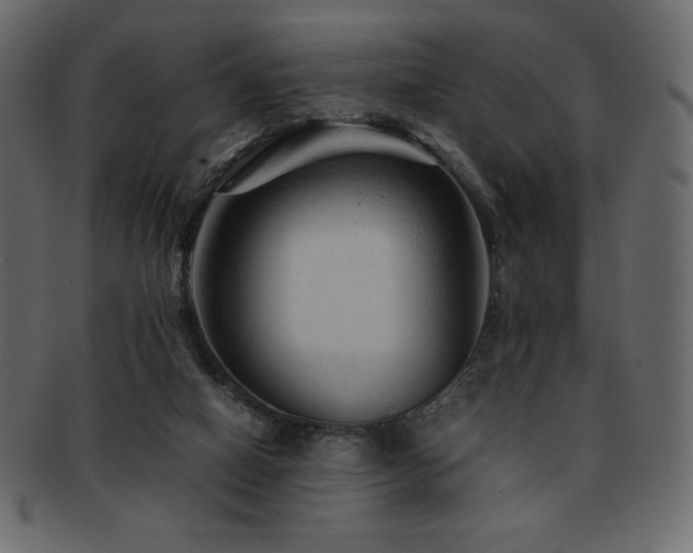 X0000093160066200709261517
