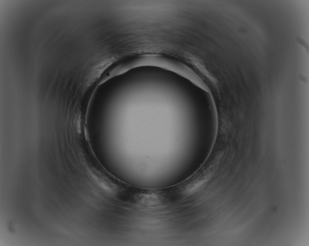 X0000093160068200709261517