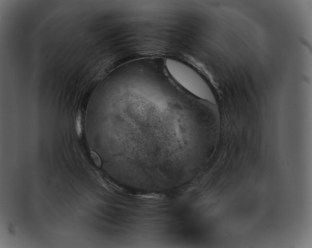 X0000093160069200709261517