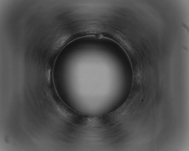 X0000093160070200709261517