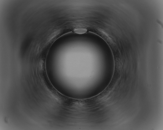 X0000093160071200709261517