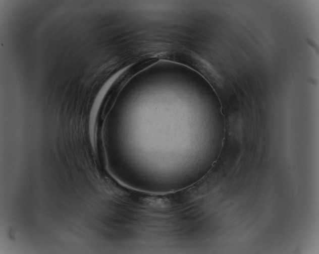 X0000093160073200709261517