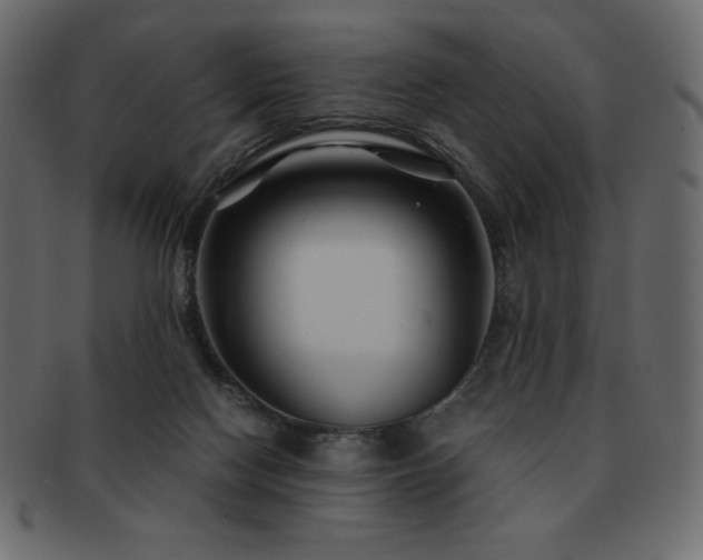 X0000093160074200709261517
