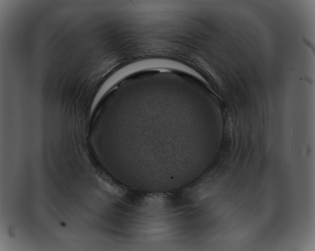 X0000093160076200709261517