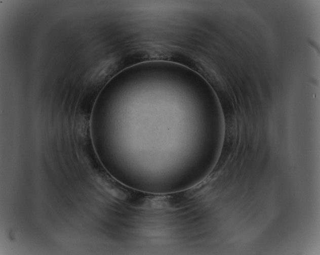 X0000093160078200709261517