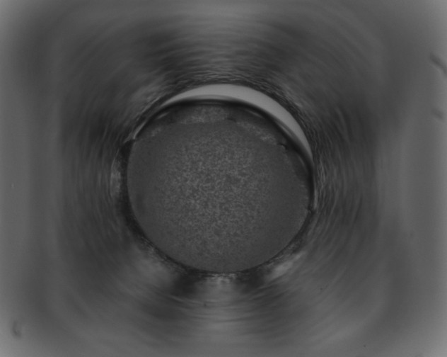 X0000093160080200709261517