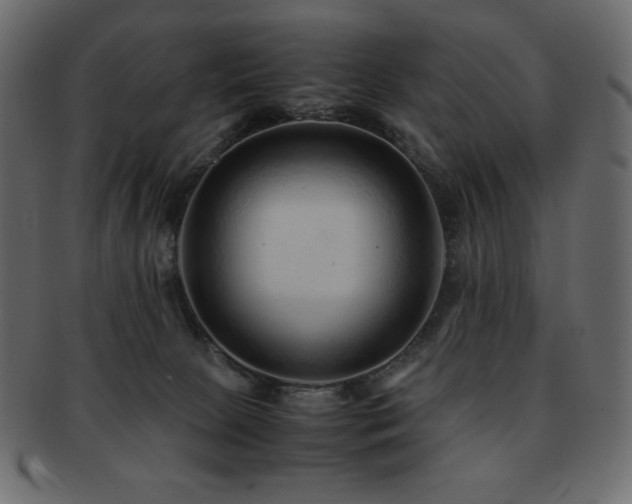 X0000093160081200709261517