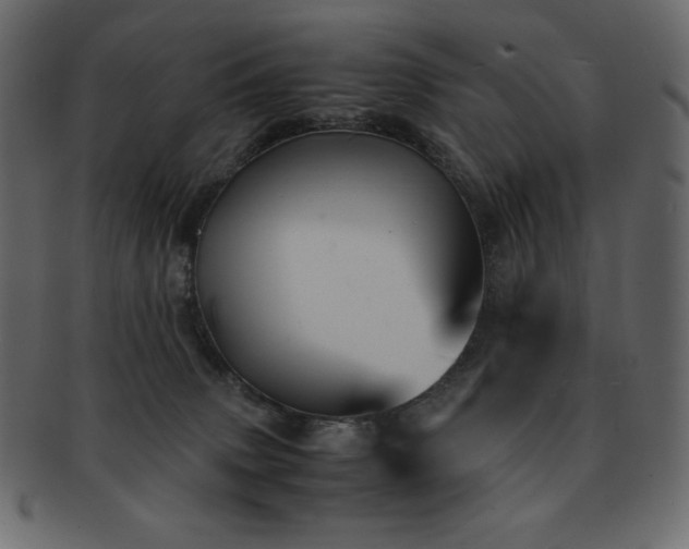 X0000093160083200709261517