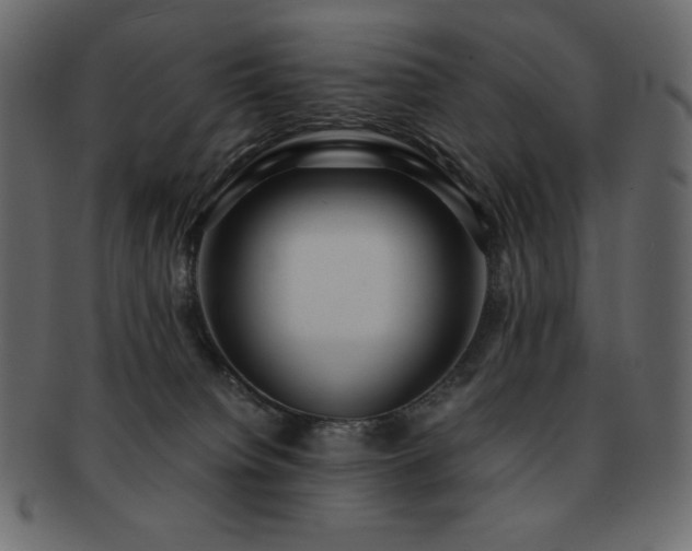 X0000093160084200709261517