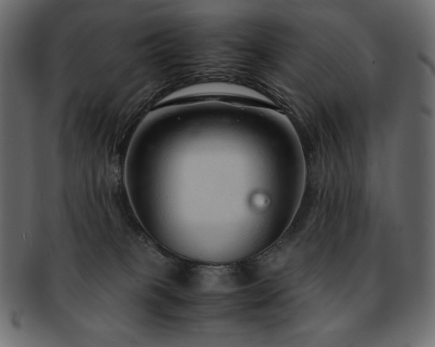X0000093160085200709261517