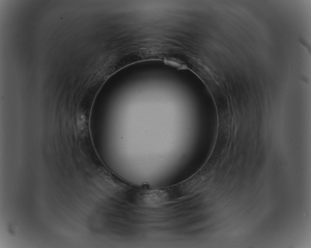 X0000093160087200709261517