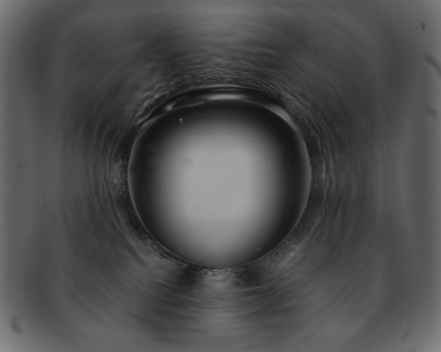 X0000093160088200709261517