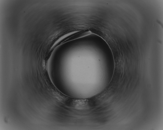X0000093160089200709261517