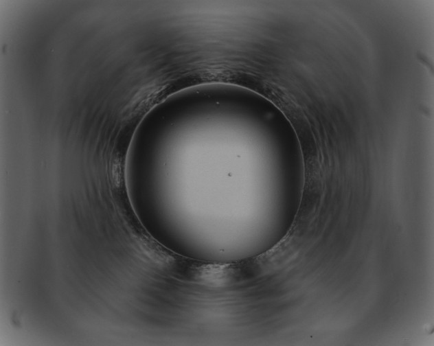 X0000093160090200709261517