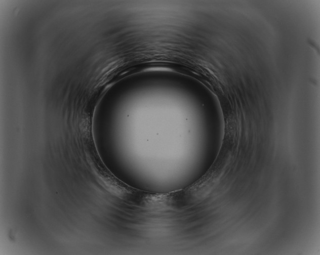 X0000093160092200709261517