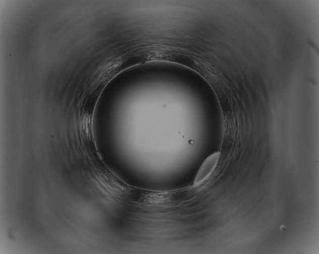X0000093160094200709261517