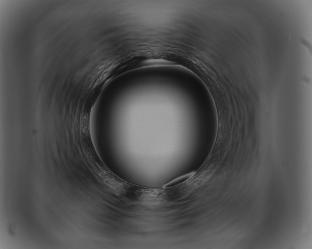 X0000093160096200709261517