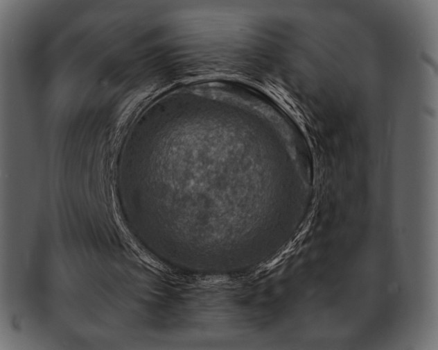 X0000093160097200709261517