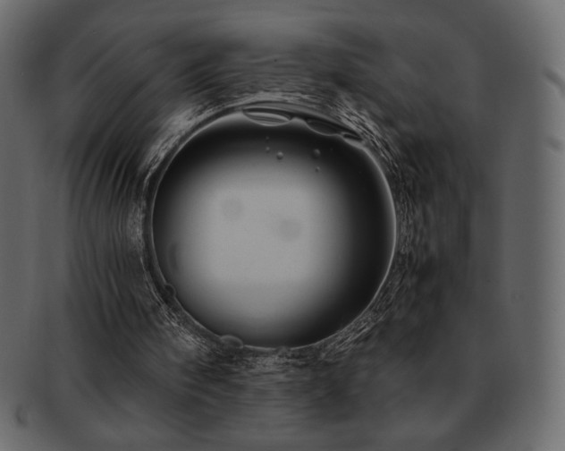 X0000093160098200709261517