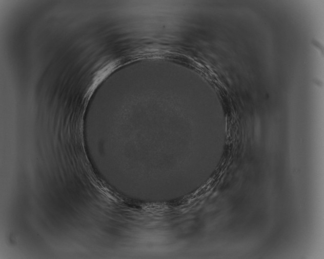X0000093160099200709261517
